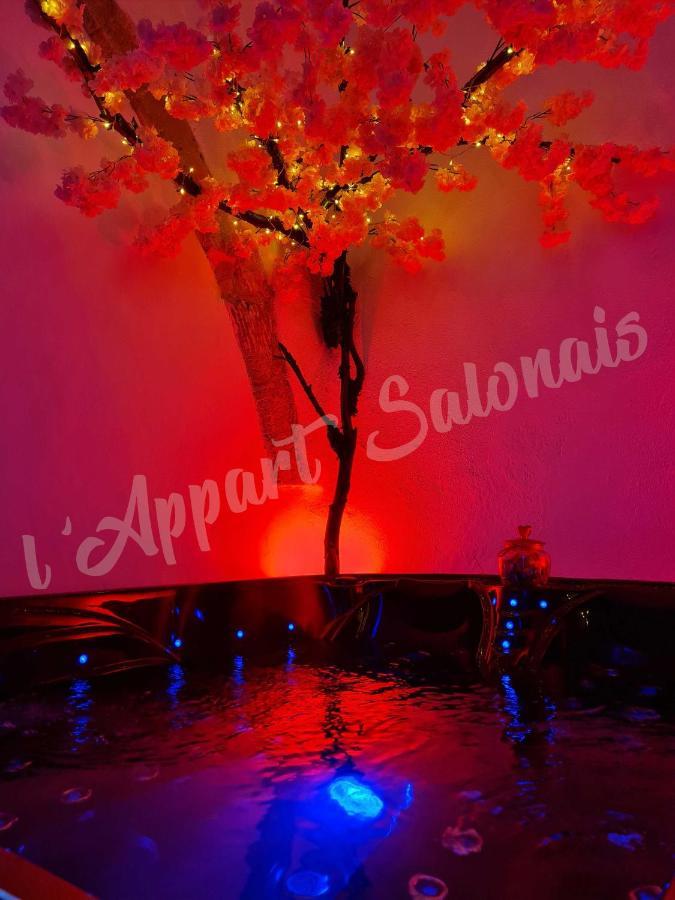 Lappart-Salonais 70M2 Avec Jacuzzi Privatif 外观 照片
